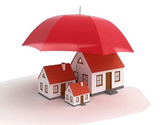 domestic package insurance transparent